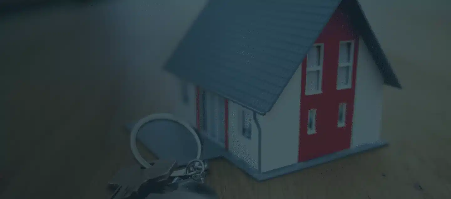 banner image