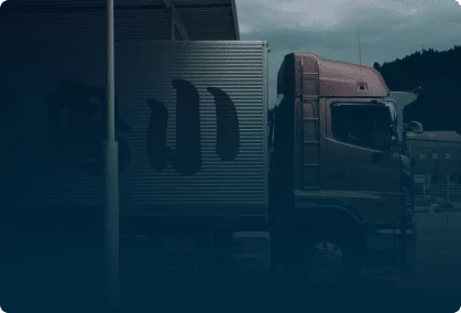 LOGISTIC SOFTWARE DEVELOPMENT